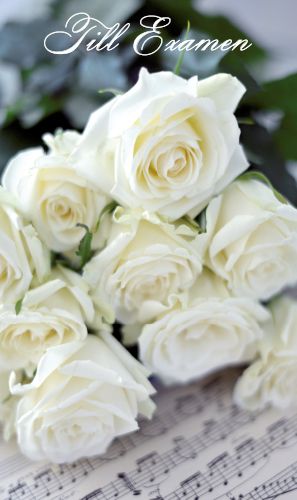 2-os valmistuneelle rahak R vakio19