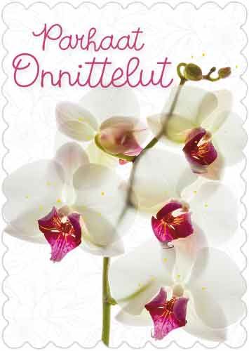 Postikortti onnittelu