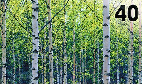 2-os vuosikortti 40V luonto