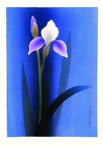 Postikortti Jaana Aalto