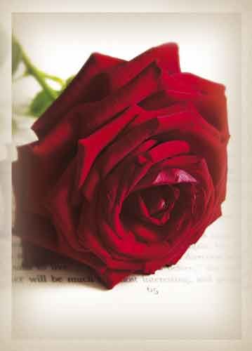 Postikortti onnittelu