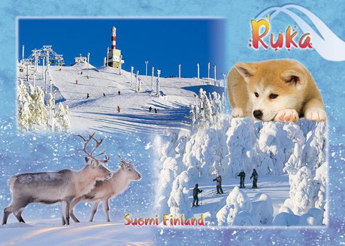 1-osainen matkailukortti