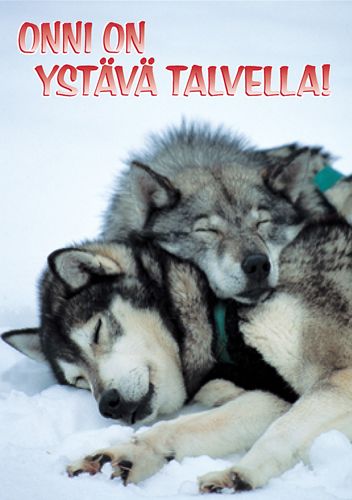 1-osainen matkailukortti