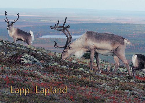 1-osainen matkailukortti