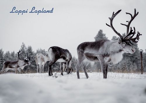 1-osainen matkailukortti