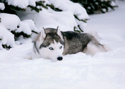 1-osainen matkailukortti