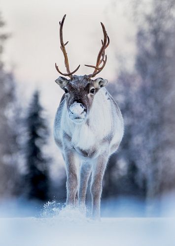 1-osainen matkailukortti