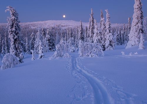 1-osainen matkailukortti