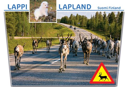 1-osainen matkailukortti