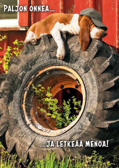 Postikortti hupi Avanti