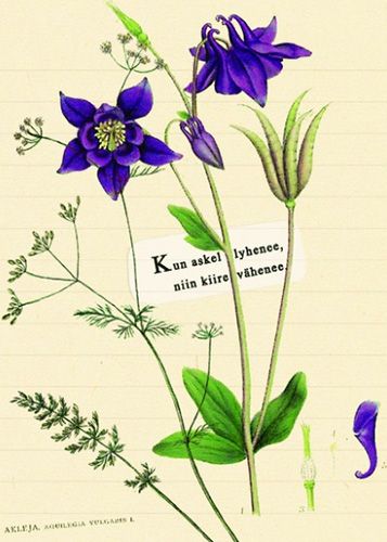 Postikortti ajatelma