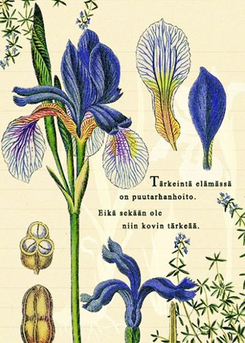 Postikortti ajatelma