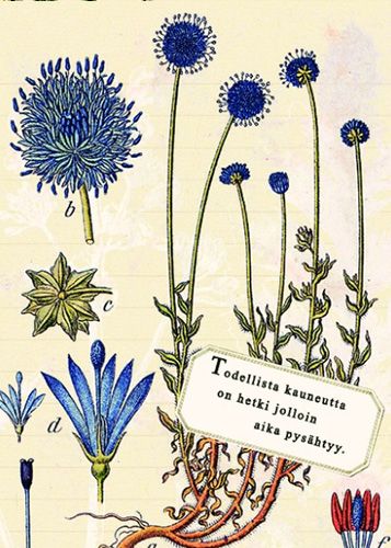 Postikortti ajatelma