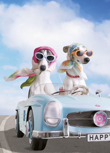 Postikortti hupi Hallmark