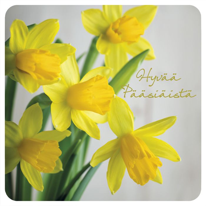 Pääsiäiskortti neliö