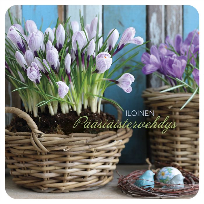 Pääsiäiskortti neliö