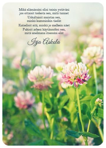 Postikortti Anna-Mari West