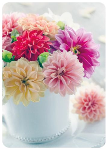 Postikortti Anna-Mari West