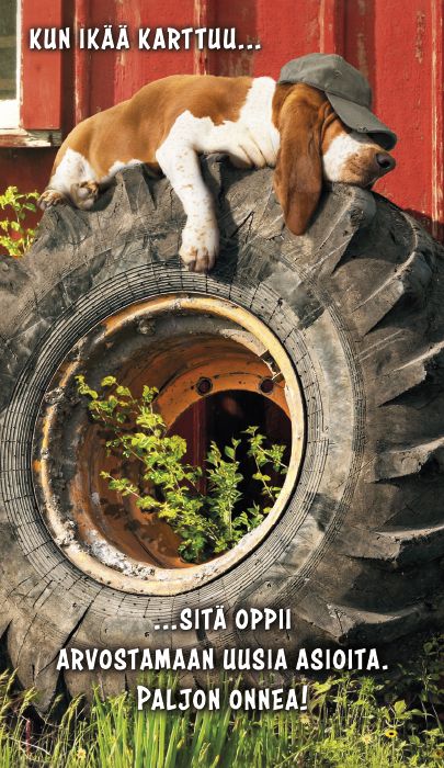 2-osainen hupikortti Avanti