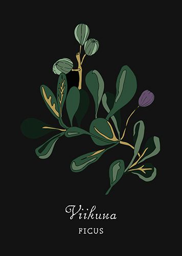 1-os kortti Sari Pelho