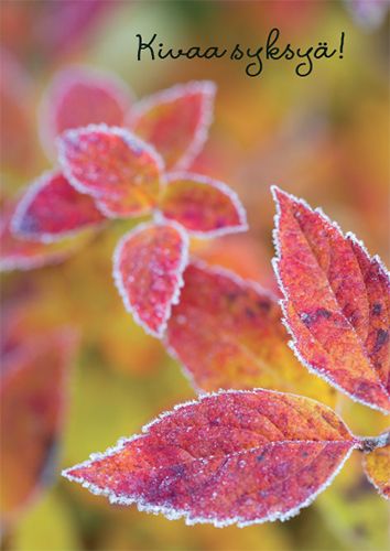 Postikortti syksy