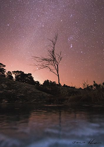 Juliste A4 Tommi Hynynen