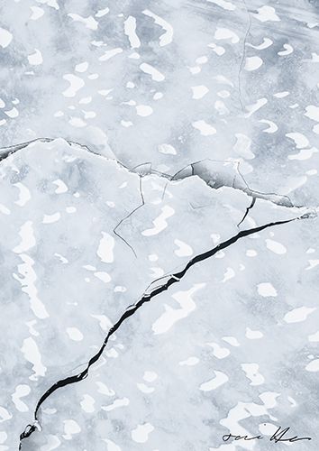 Juliste A4 Tommi Hynynen