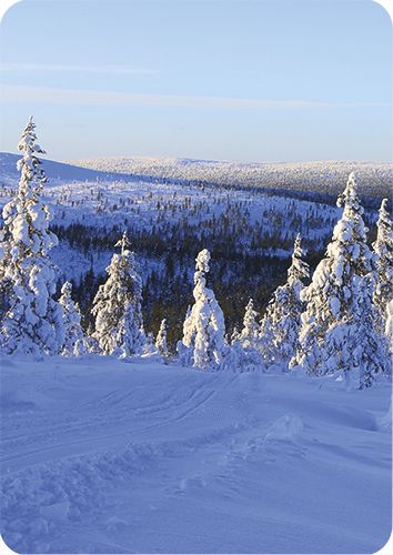 1-os kortti Tommi Hynynen