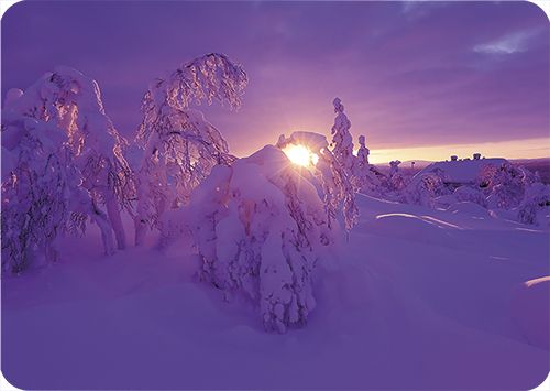 1-os kortti Tommi Hynynen