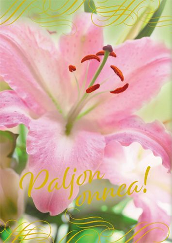 Postikortti onnittelu