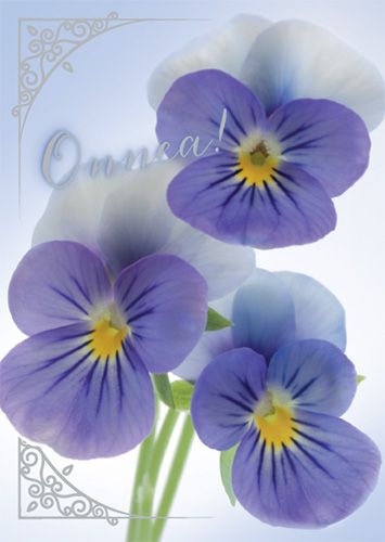 Postikortti onnittelu