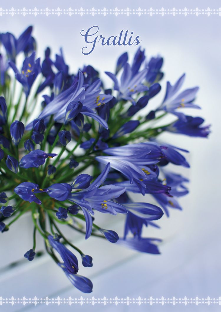 Postikortti onnittelu ruotsinkielinen