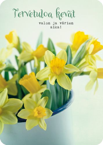 Postikortti Anna-Mari West