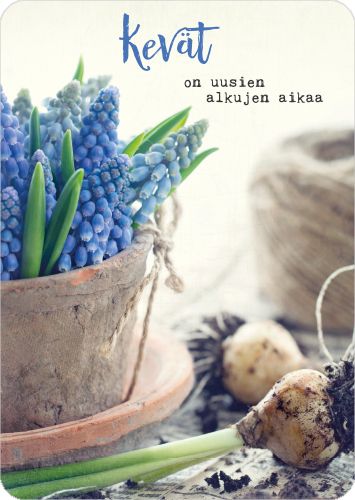 Postikortti Anna-Mari West