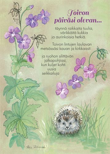 1-os kortti Raija Riihimäki