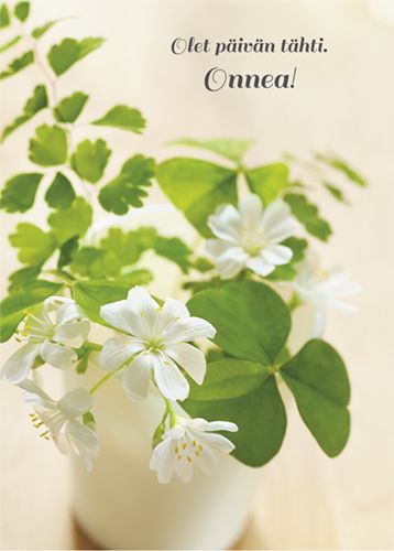 Postikortti onnittelu