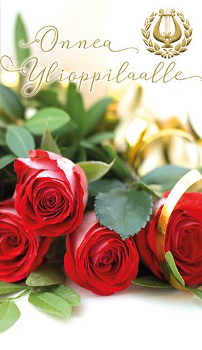 2-osainen ylioppilaskortti