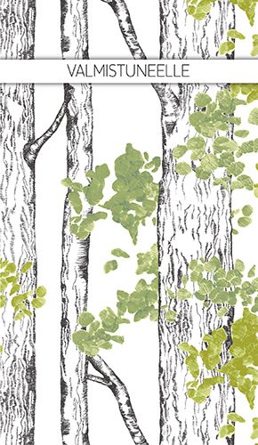 2-os valmistuminen setelitasku Vallila