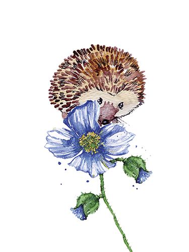 Juliste 30x40cm Siili