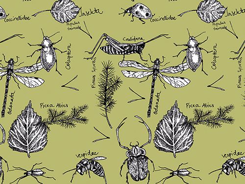 Juliste 30x40cm Ötökät