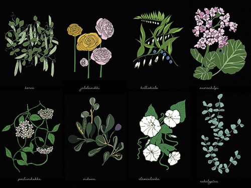 Juliste 60x80cm Kasvisto