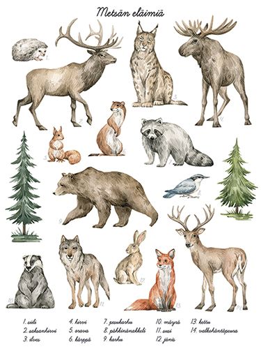 Juliste 30x40cm metsän eläimet