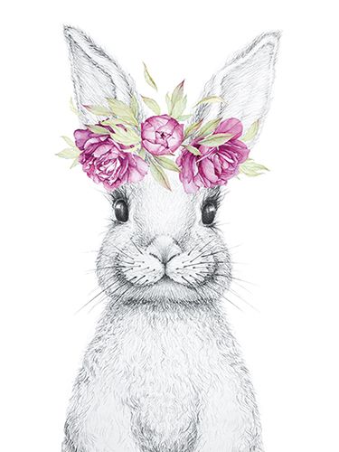 Juliste 30x40cm pupu