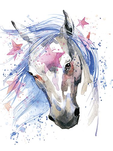 Juliste 30x40cm hevonen