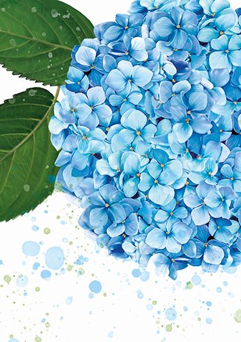 Vihko A5 Kukka Hortensia