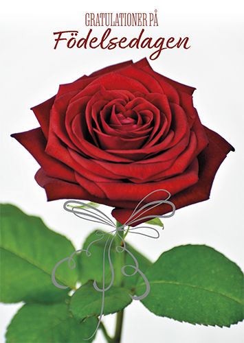 Postikortti syntymäpäivä ruotsinkielinen