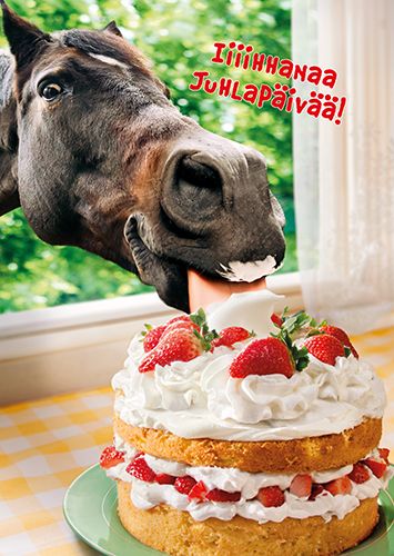 Postikortti hupi Avanti