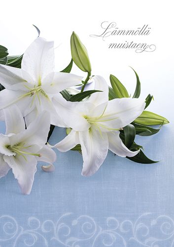 Suruadressi Suomen Syöpäpotilaat