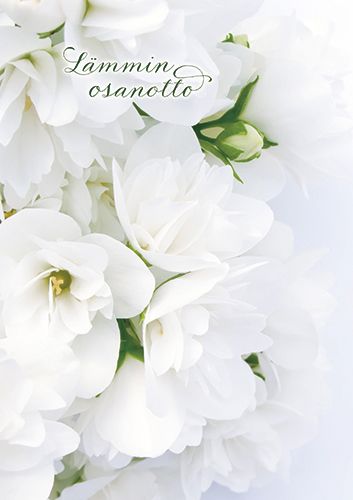 Suruadressi Muistiliitto