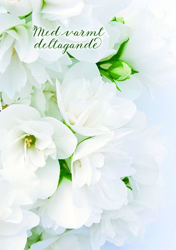 Suruadressi Muistiliitto ruotsinkielinen